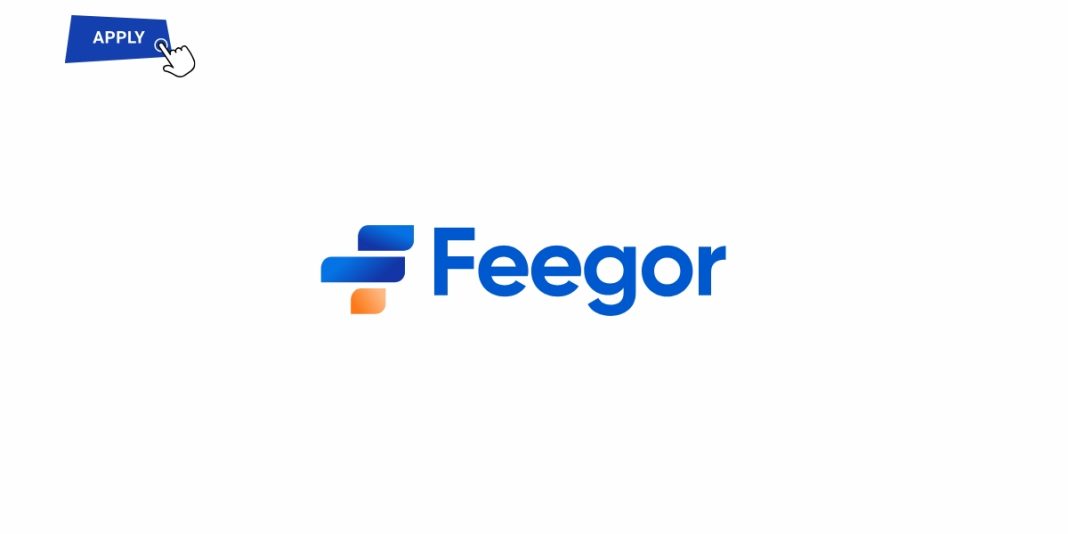 Feegor Inc