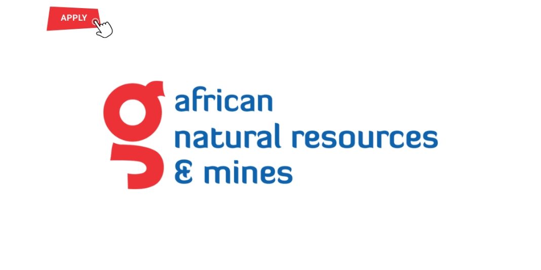 African Natural Resources and Mines Limited (ANRML)