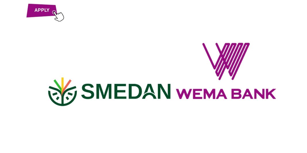 SMEDAN-Wema Capacity Development Program