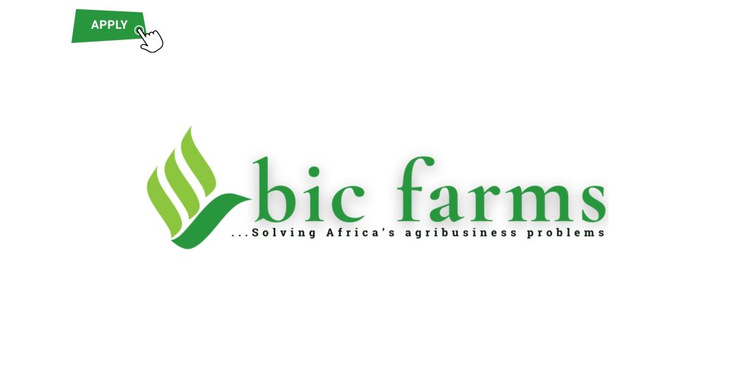 Bic Farms Concept